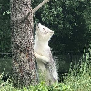 Meet your Posher, Linda lee